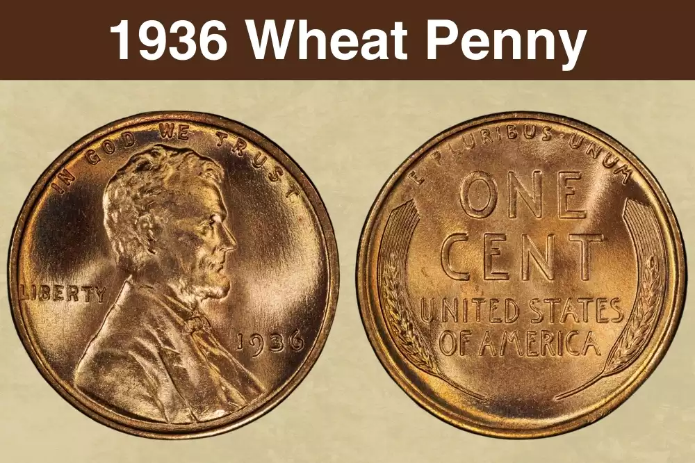 1936 Lincoln wheat penny showing obverse portrait of Abraham Lincoln and reverse wheat stalks